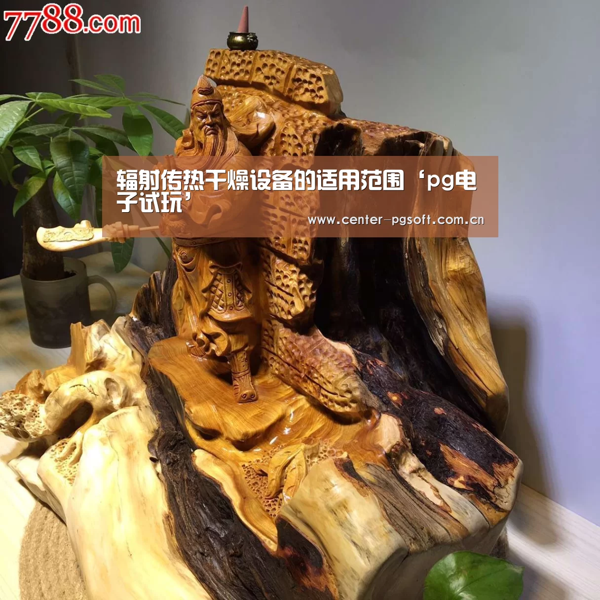 辐射传热干燥设备的适用范围‘pg电子试玩’(图3) pg电子