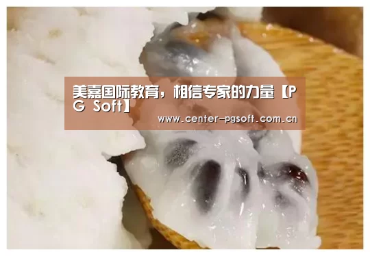 美嘉国际教育,相信专家的力量【PG Soft】(图4) pg电子