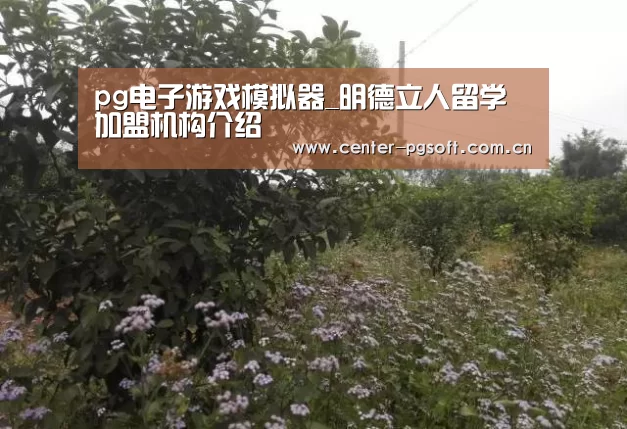 pg电子试玩