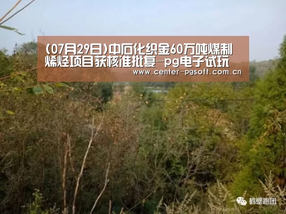 (07月29日)中石化织金60万吨煤制烯烃项目获核准批复-pg电子试玩(图2) pg电子试玩