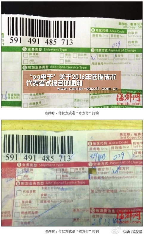 pg电子游戏模拟器